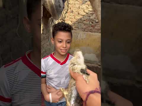 ايد الخير جيباا بطه جعنه