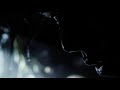 Araya POISON Official Video Araya POISON Official Video