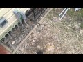 Shed Electric Installation Shed Electric Installation