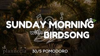 sunday morning with birdsong ☀️🐦 | soft morning focus | 1 Hour Deep Focus | Pomodoro screenshot 2