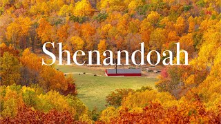 Autumn Splendor: A Scenic Tour of Skyline Drive in Shenandoah National Park, 2023