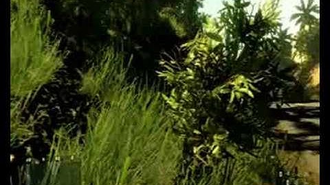 Crysis with DirectX 10 ULTRA HIGH SETTING!!!