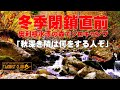 冬季閉鎖直前の霙が降り、風が吹き荒れ凍える奥利根水源の森でソロキャンプ「秋深き隣は何をする人ぞ」【Solo camp】【bushcraft】