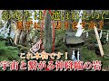 ⚠️超強力⚠️願いが叶う188柱の神々が宿る神社⚠️パワースポッターで御岩山に登拝しない人なんていない！【茨城県日立市 御岩神社】【祭神：国之常立神 大国主神 伊邪那岐神 伊邪那美神】