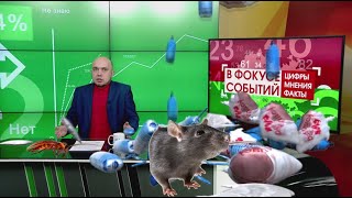 Антисанитария в квартире. Как наказать соседей? В фокусе событий