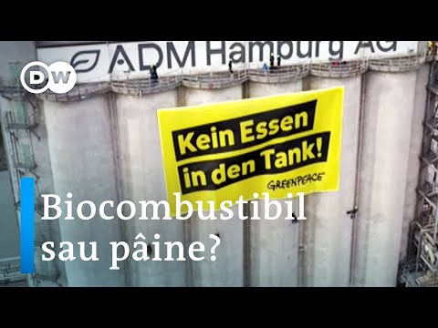 Video: Cum se produc biocombustibilii?