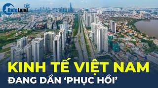 Chuyên gia Ngân hàng Thế giới: Kinh tế Việt Nam đang dần 'PHỤC HỒI' | CafeLand