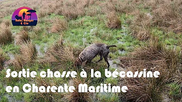 Quels sont les jours de chasse autorisés en Charente-maritime ?