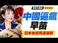 日本「高傲製造業」一夕被打殘!高市早苗被中國逼到「病急亂投醫」自己都快溺死還跑去砸錢印、菲!|#獨家觀點 #環球大戰線 #寰宇全視界 @globalvisiontalk