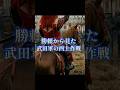 （Short版）武田勝頼から見た武田軍の西上作戦