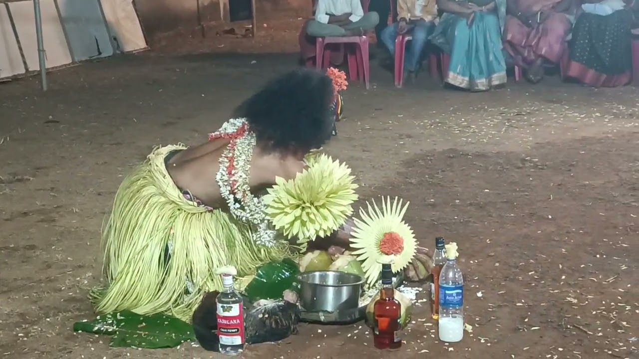 Guliga nema 11th February 2026