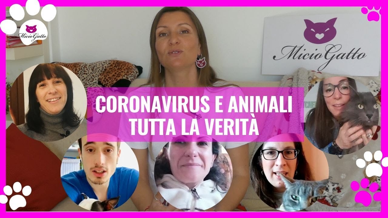 Coronavirus e animali, tutta la verità!