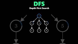 Depth First Search - Explained