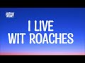 I Live With Roaches Tiktok Song Lyrics Mp3 Song