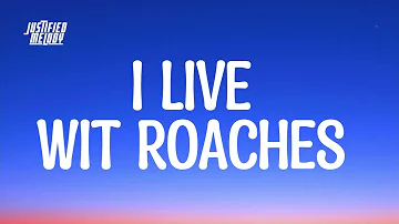 I Live With Roaches Tiktok Song Lyrics