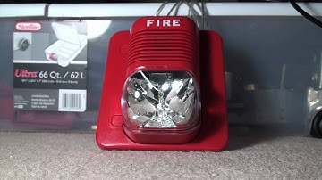 System Sensor Spectralert P1224MC 3000Hz