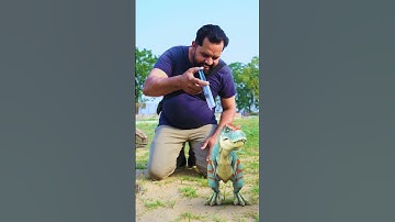 T-Rex dinosaur and Raptor Dinosaur made bigger using chemical In Jurassic World | Dinosaur Point