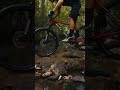 We've been riding the Superior Bikes XP 919 from bikes online the past few weeks #mtb #rockgarden