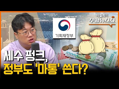 세수 결손에도 국채 발행 꺼리는 이유는? (박정호 교수)
