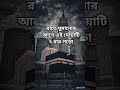 রাতে ঘুমানোর আগে এই দোয়াটি ৭ বার পড়ো
