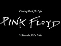 Pink Floyd - Coming Back To Life (Subtitulada en español)