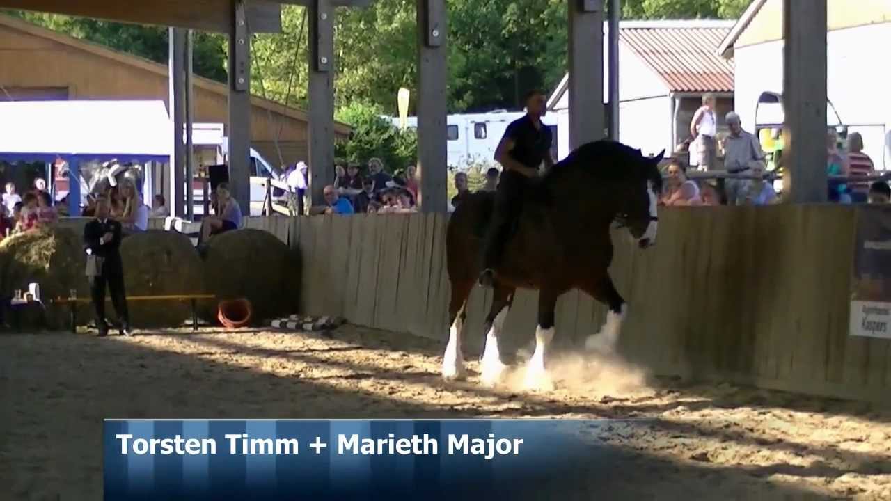 Shire Horse LZS RheinlandPfalz 2012 Torsten Timm + Marieth Major