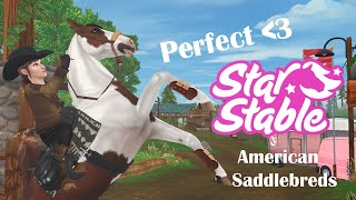 Buying TWO New American Saddlebreds in SSO