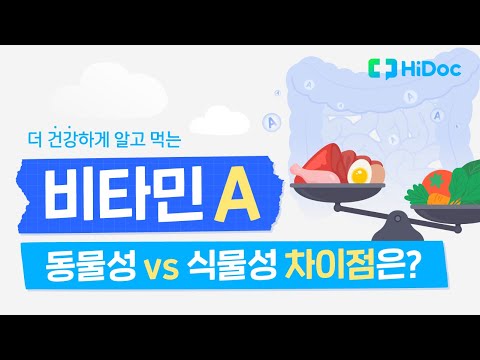 [비타민 A] 동물성과 식물성의 차이점은?