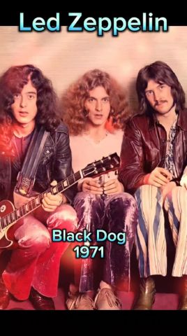Led Zeppelin - Black Dog (Live at Madison Square Garden 1973