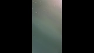 Spitting snow in Carterville outside the WSIL-TV station
