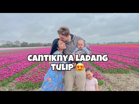 BELANDA 🇳🇱| JALAN2 ke LADANG TULIP 🌷 😍