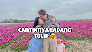 BELANDA 🇳🇱| JALAN2 ke LADANG TULIP 🌷 😍