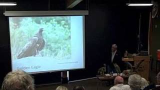 CB Birds of Prey 3of6.wmv