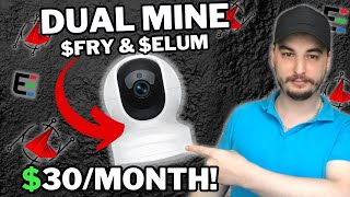 Dual Mining $FRY + $ELUM! | Earn More Fry Camera Mining with Elumicate!