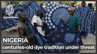 Nigeria's centuries-old dye tradition under threat