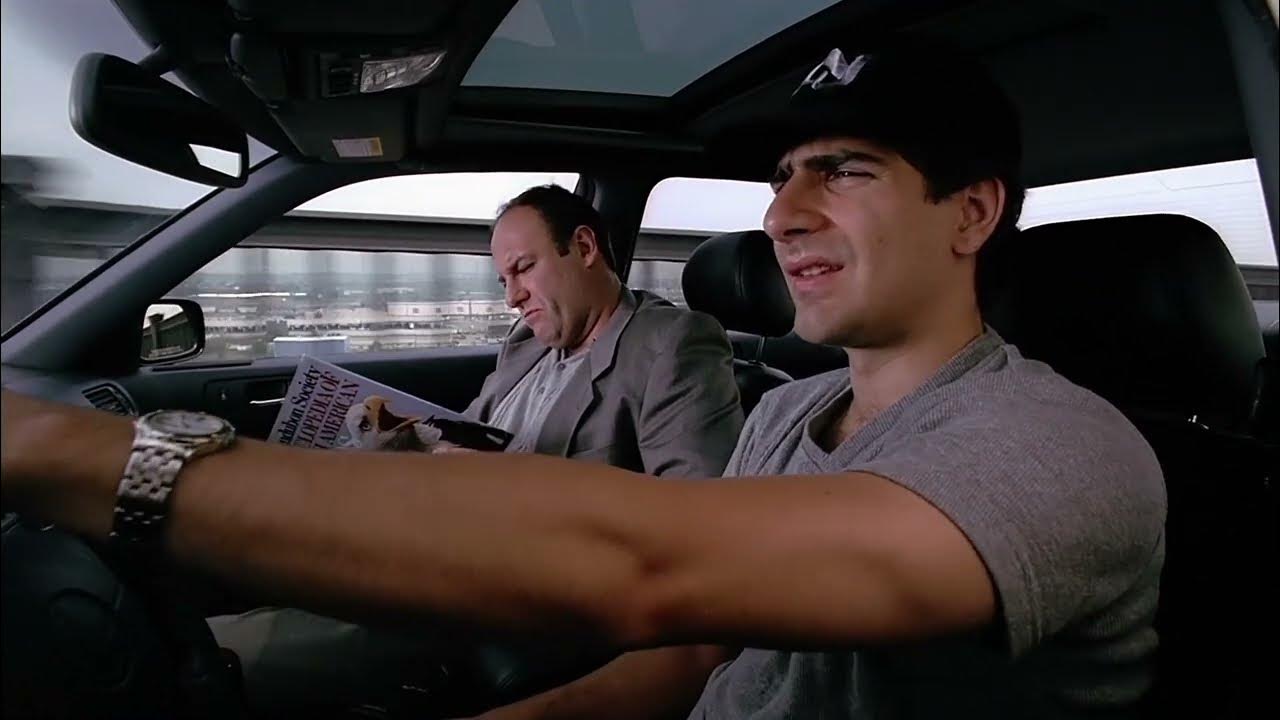 Família Soprano - 1ª Temporada : A história do mafioso que via patos