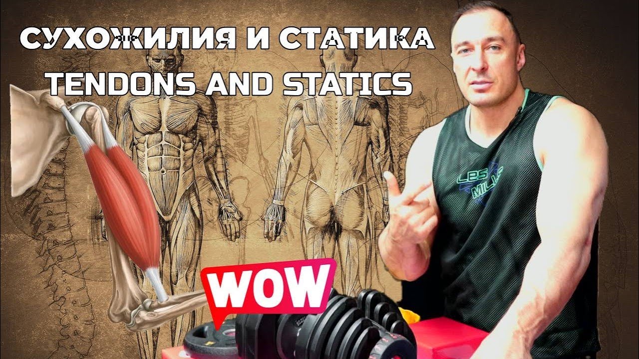 СУХОЖИЛИЯ И СТАТИКА!TENDONS AND STATIC!