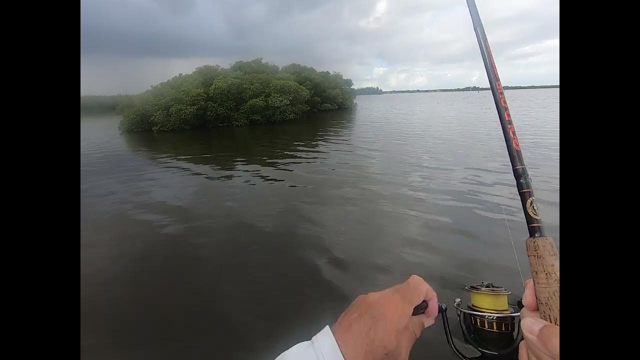 Flounder Fishing with Gulp Swimming Mullets YouTube