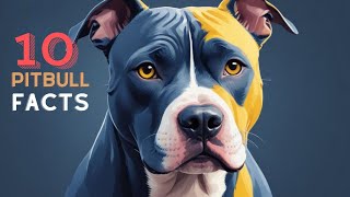 10 Surprising Facts About Pitbulls That Will Make You Love Them More!