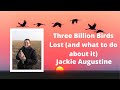 Jackie Augustine: 3 Billion Birds Lost and what to do about it