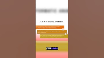 Unlocking Drug Discovery  The Bioinformatics Revolution 🔬