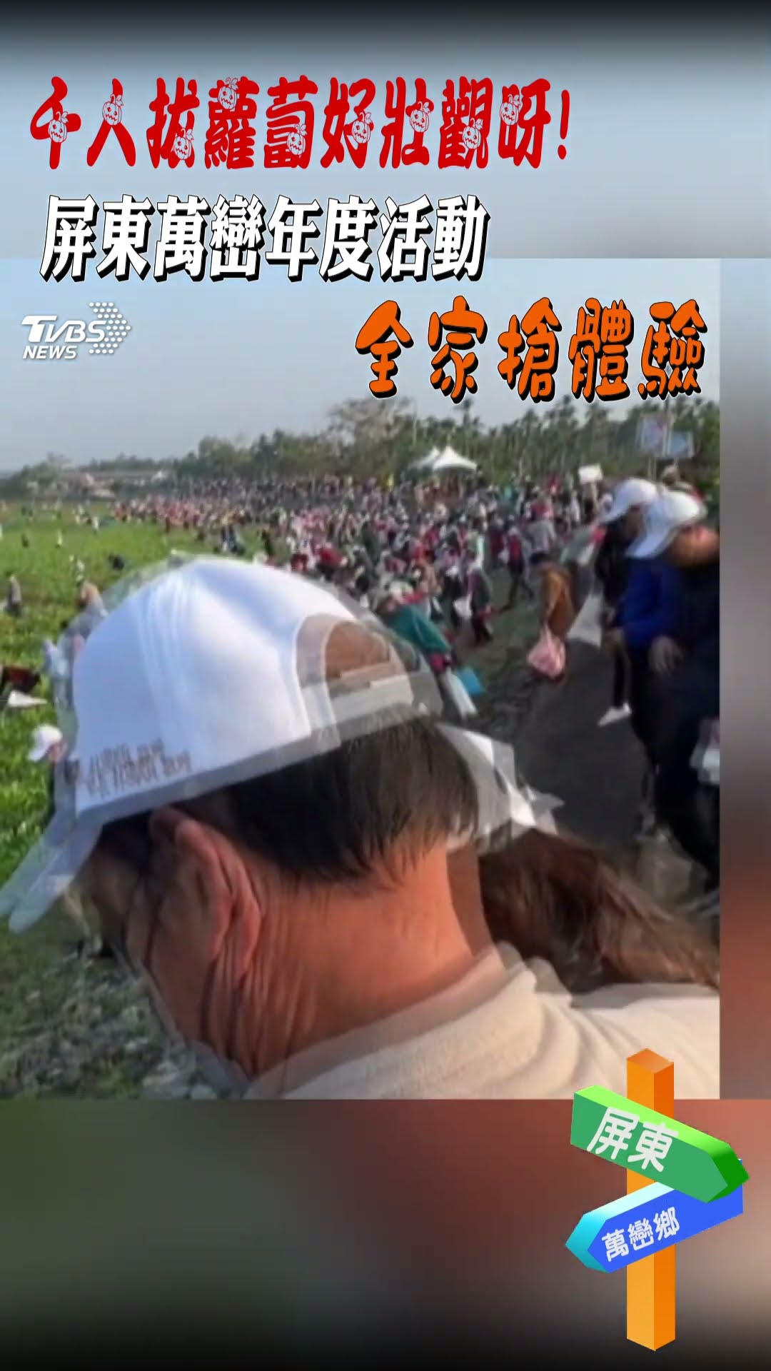 千人拔蘿蔔好壯觀呀! 屏東萬巒年度活動 全家搶體驗｜TVBS新聞 #shorts @TVBSNEWS01