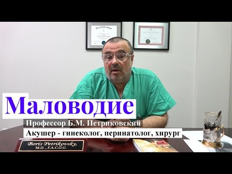 Маловодие - интервью с профессором Петриковским о родах в США
