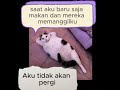 Apakah kamu akan berjalan-jalan?-v.a.sh.
