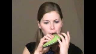 Saria's Song - Legend of Zelda Ocarina of Time - on STL Ocarina - Use Code 'YT10' and Get 10% Off