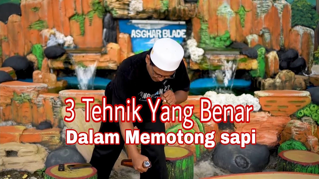 Jangan Sampai Tidak Adab Dalam Memotong Sapi