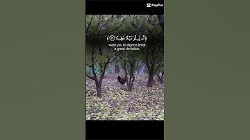 ارح قلبك وروحك وسمعك بآيات من الذكر الحكيم.   #قرأن كريم راحة نفسية