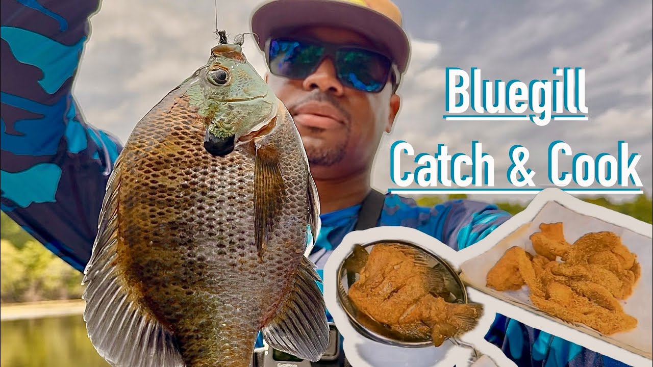 Catch & Cook | Catching BIG Bluegill on Beds on Lake Conroe