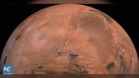 Robot bees could be the next explorers of Mars