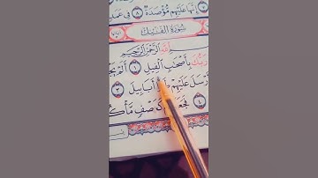 تلاوة تعليمية القرآن الكريم من سورة (الفيل) قرآن بصوت جديد يريح القلب 🫀🕌💐🌹